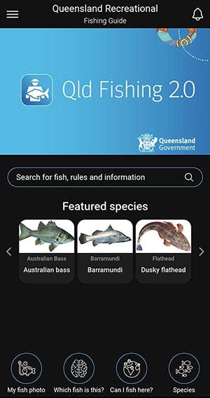 qld fishing 2.0|fishing in queensland.
